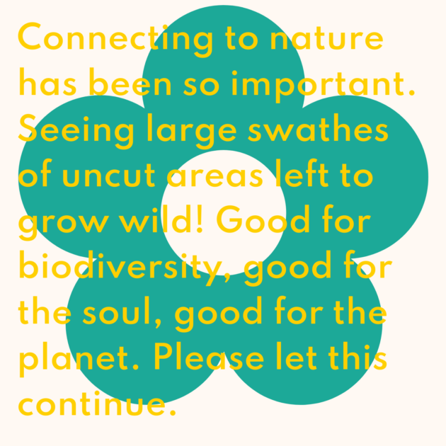 Connecting to nature has been so important. Seeing large swathes of uncut areas left to grow wild! Good for biodiversity, good for the soul, good for the planet. Please let this continue. 